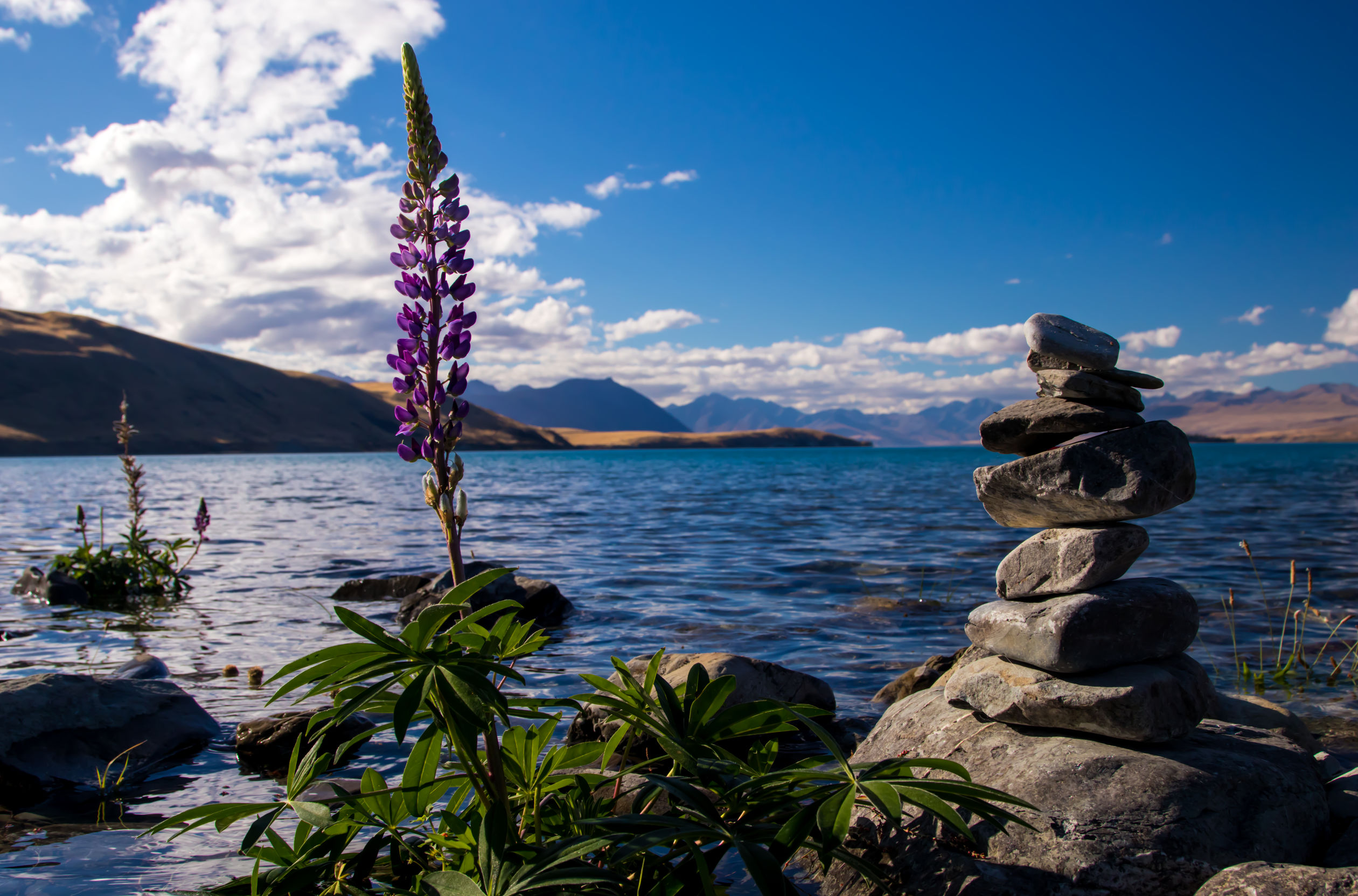 Pile of stones and a flower with a lake behind